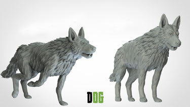 Dogs